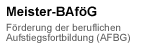 Meister-BAföG